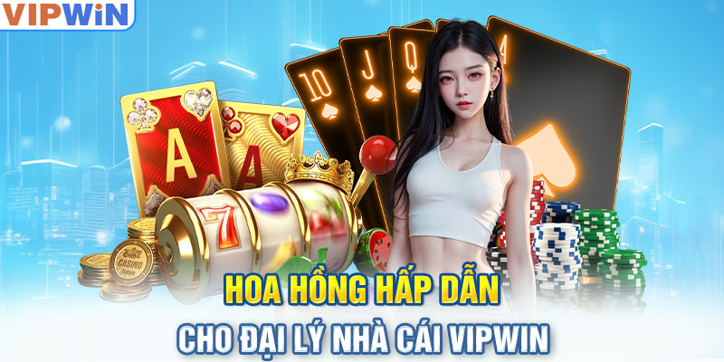 Hoa hồng hấp dẫn cho đại lý nhà cái VIPwin