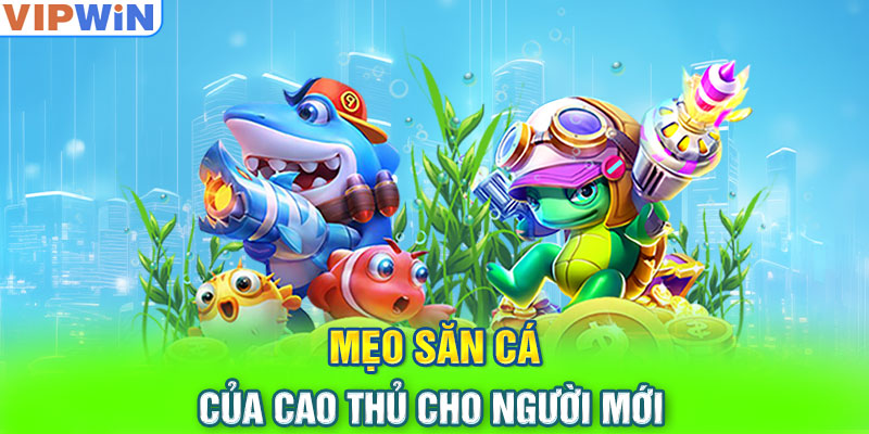 Mẹo săn cá của cao thủ cho người mới