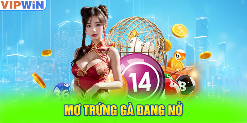 Mơ trứng gà đang nở